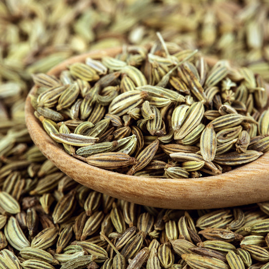 Fennel