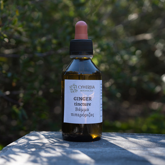 Ginger tincture