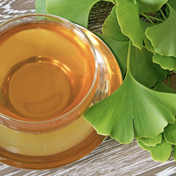 Ginkgo Biloba Tea