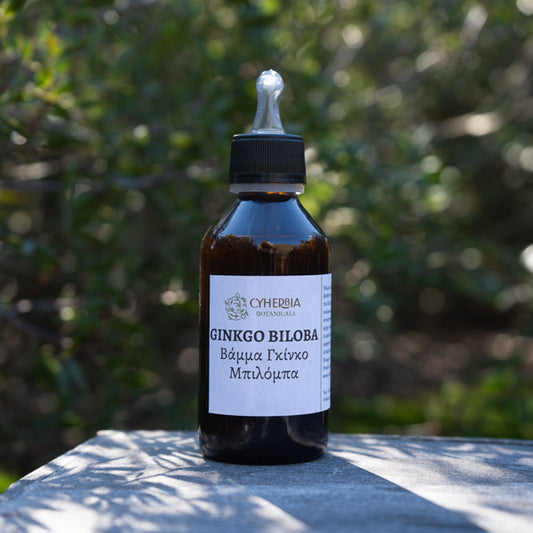 Ginkgo Biloba tincture