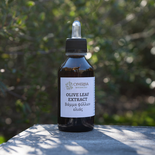 Olive Leaf Tincture