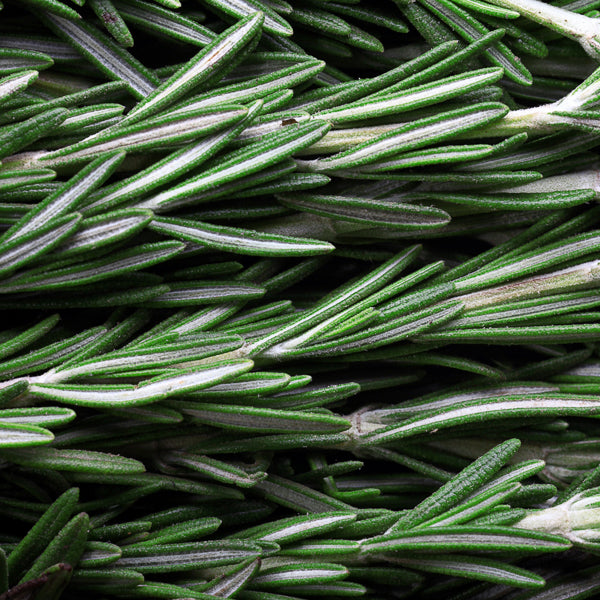 Rosemary tea