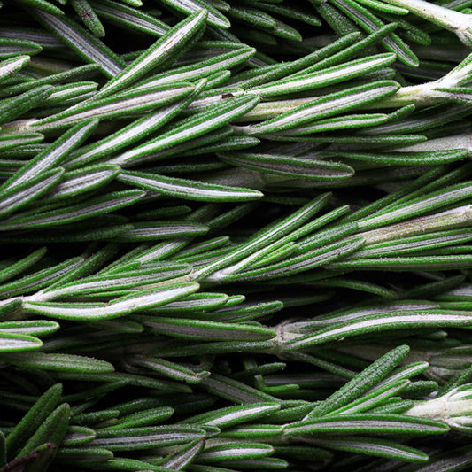 Rosemary tea