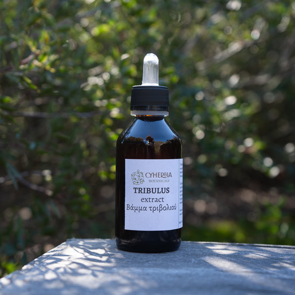Tribulus tincture