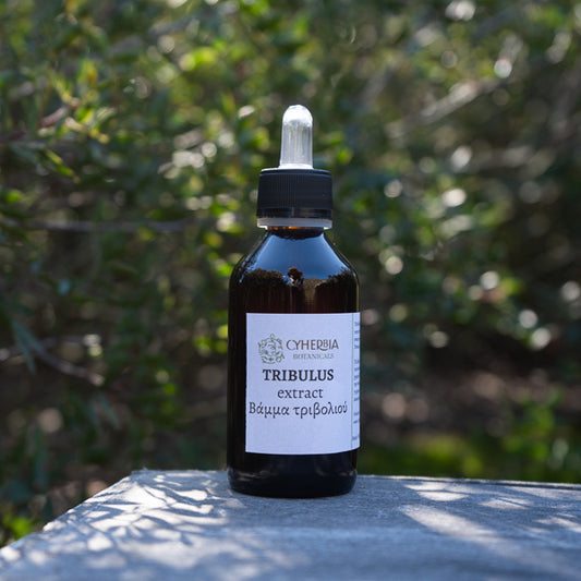 Tribulus tincture