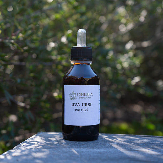 Uva Ursi tincture